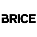 logo Brice png