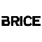 logo Brice png