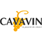 logo Cavavin png